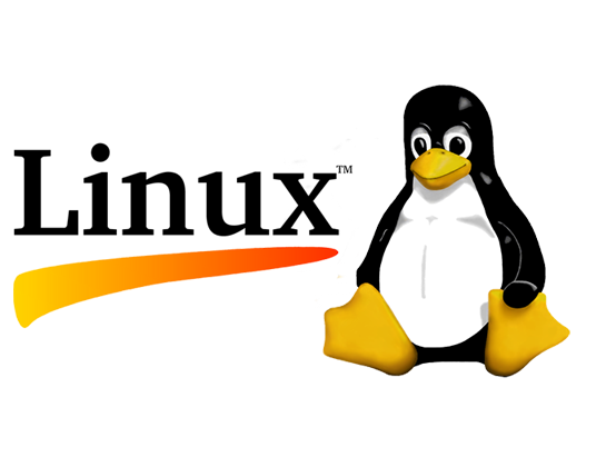 Linux Logo